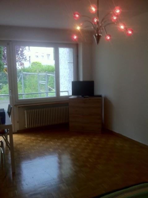 Rent A Home Tannwaldstrasse Olten Esterno foto